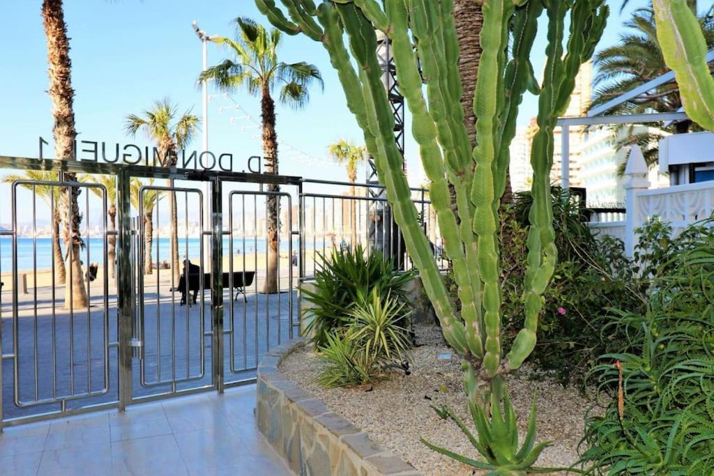 Luxurious 2-Bedroom Apt With Stunning Views, 1St Line On Levante Beach, 貝尼多姆 外观 照片